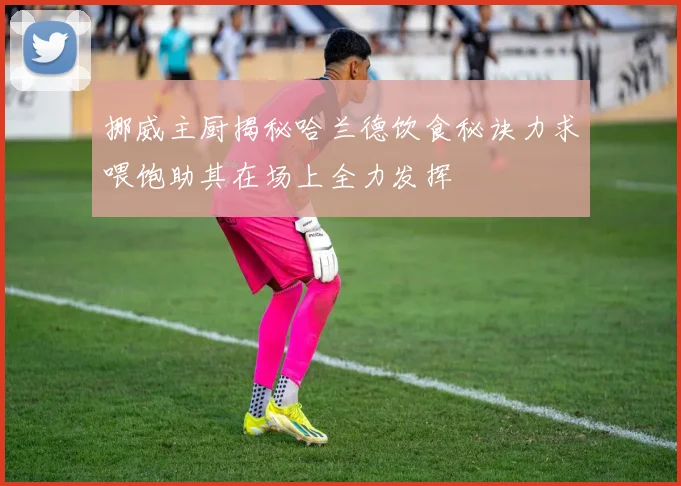 挪威主厨揭秘哈兰德饮食秘诀力求喂饱助其在场上全力发挥